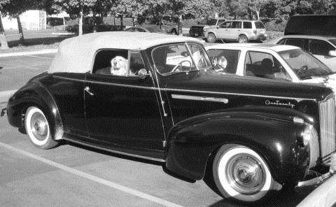 1941 One-Twenty Convertible Coupe