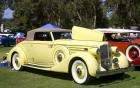 1935 Packard 1207 Convertible Coupe with top up - yellow - fvr
