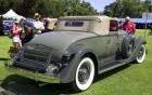 1933 Packard roadster - gray - rvr