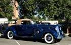 1937 Packard 1027 Twelve Convertible Victoria - blue - fvr