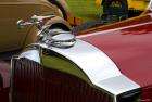 1932 Packard 904 Roadster - red - mascot
