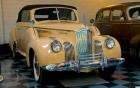 1941 Packard 1479 Convertible Coupe (160) - beige - fvr