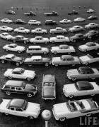 1954 STUDEBAKER-PACKARD CARS AND TRUCKS