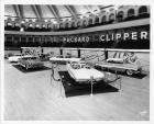 1956 Packard Clippers on display in large auditorium