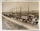 Caravan of early 1900s Packard trucks fully loaded and pulling extra trailers