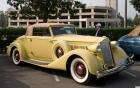 1936 Packard Standard Eight Convertible - yellow - fvr