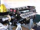 V-1560 Packard Merlin Engine